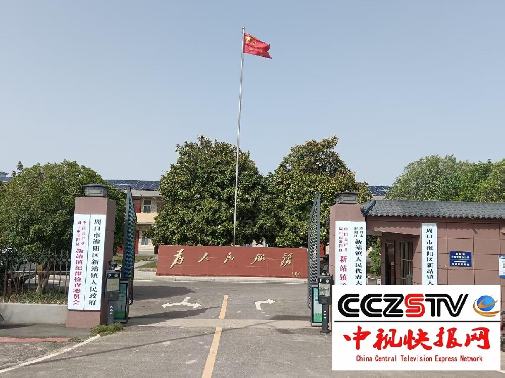 干群齐力绘新卷 环境蝶变展新颜 ——新站镇全力打造美好人居环境纪实