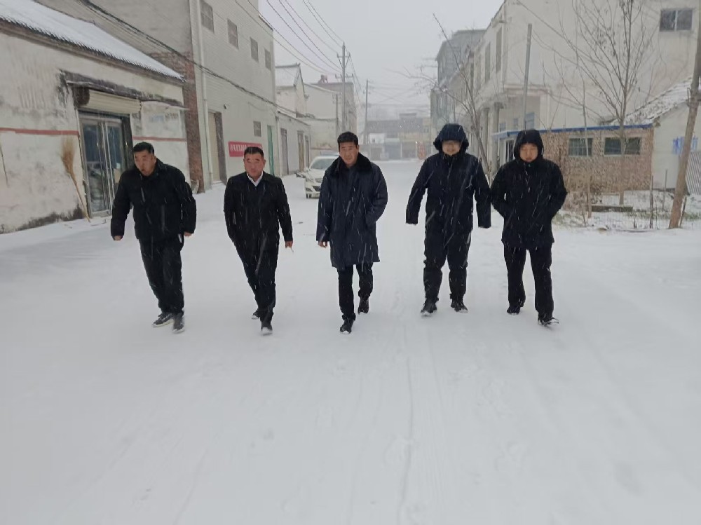 风雪映初心 步履践使命——记周口淮阳区新站镇染坊村支书杜俊的冬日坚守